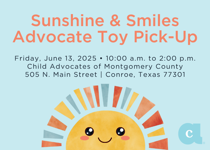 Toy Pick-Up is Friday, June 13